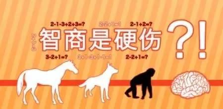 赚钱的兼职平台，解锁你的时间价值与财务自由