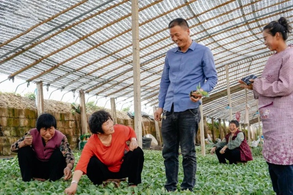探索农业新蓝海，兼职副业在乡村振兴中的新机遇