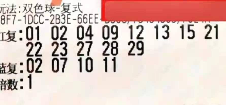 极速体育直播，NBA赛事的激情与速度
