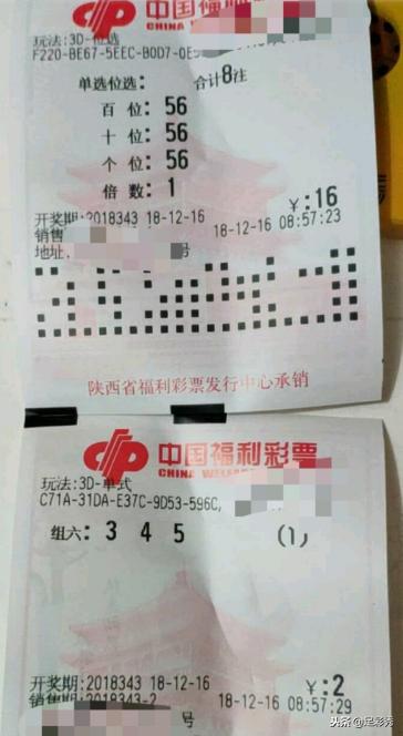 23032期双色球开奖结果揭晓，幸运数字照亮梦想之光