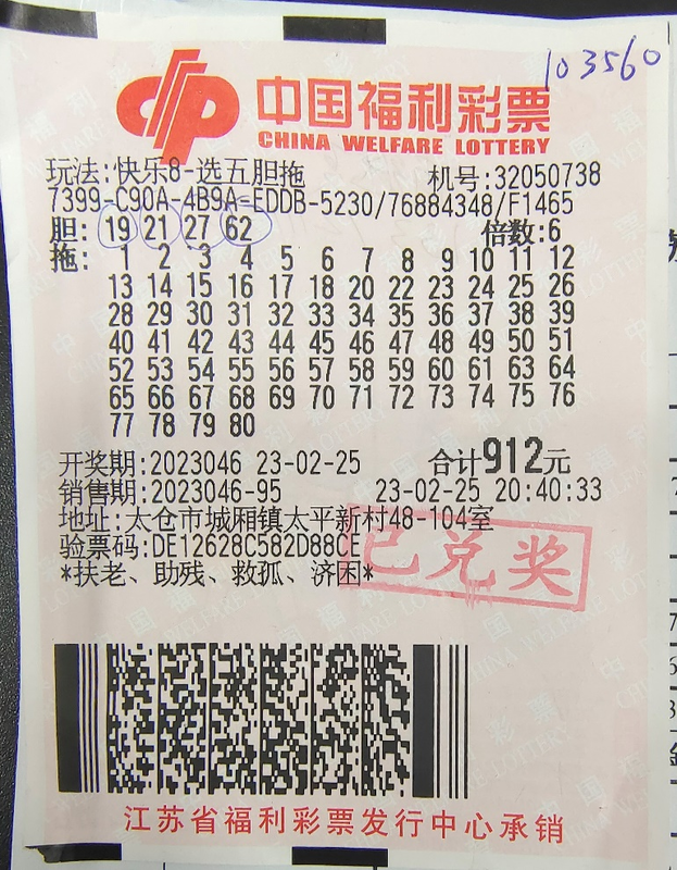 双色球彩票胆拖计算器，理性投注的智慧之选