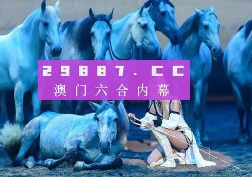 澳门资料，探索澳门图库与开奖资料的奥秘