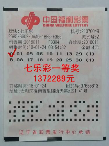 福利彩票中奖号码31期，幸运的瞬间与生活的改变