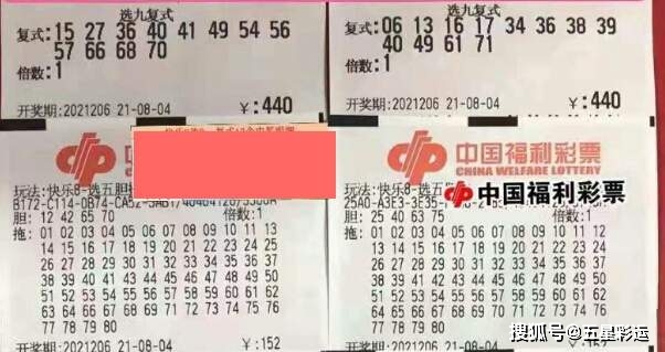 双彩论坛，试机号与彩民的秘密花园