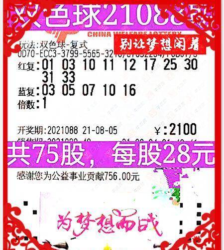 揭秘双色球2022059期开奖结果，幸运数字背后的故事与期待
