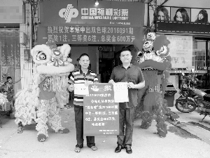 探索中国福利彩票3D开奖走势，理性投注，乐在其中