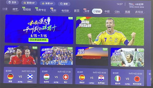 百度直播，足球比赛的在线观赛新体验