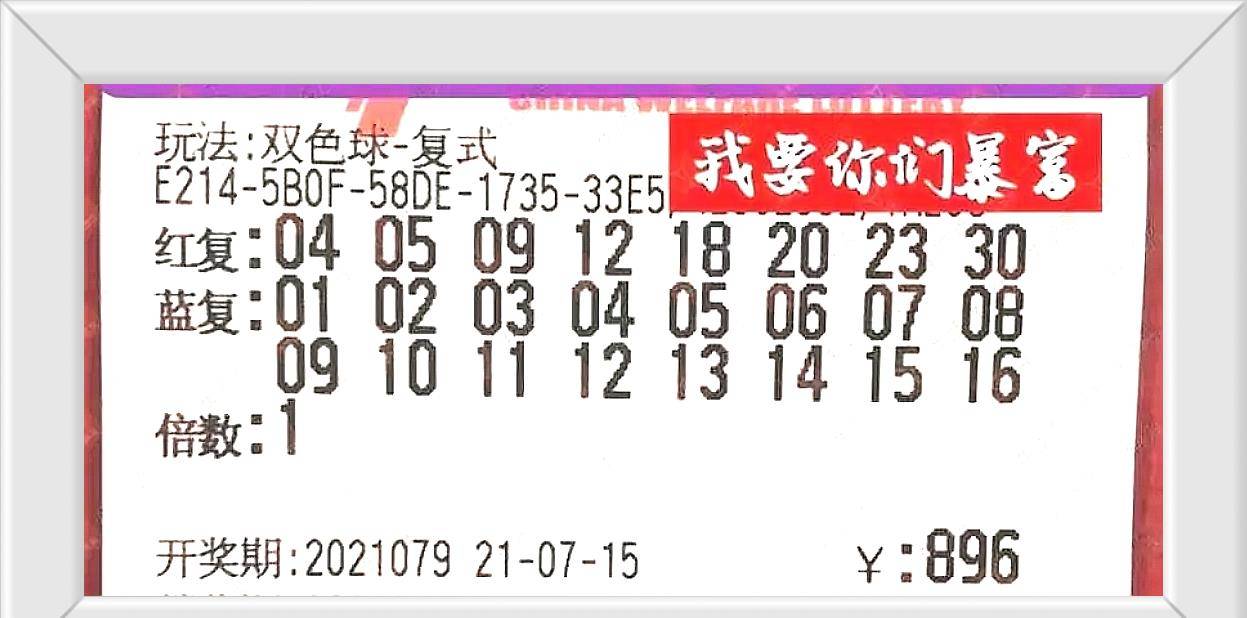 双色球90期开奖揭秘，数字背后的幸运与期待