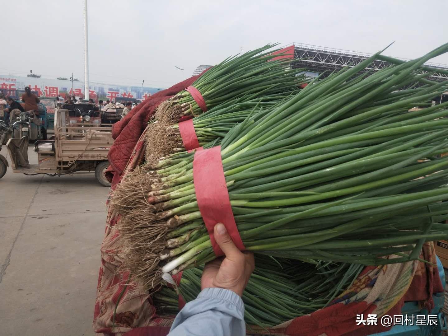 河北11选五手机走势图，透视数字背后的智慧与机遇