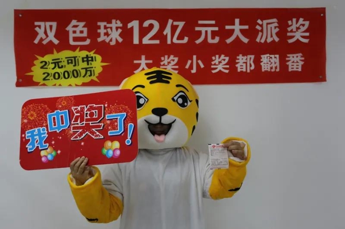 8月11日双色球开奖揭秘，幸运数字背后的故事与期待