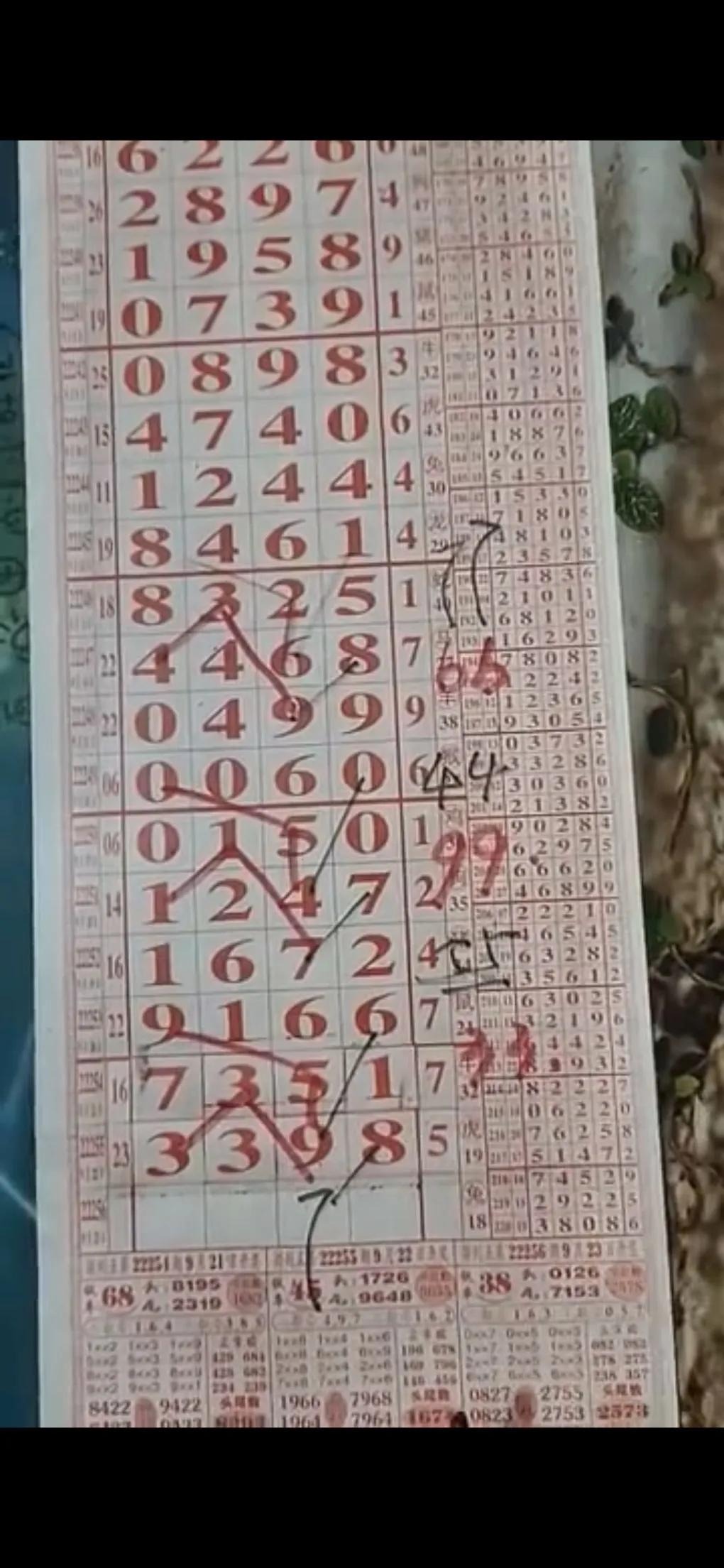 排列五开奖常用规律解析，揭秘数字游戏的奥秘
