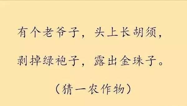 史上最搞笑的谜语大全，笑到肚子疼，你准备好了吗？