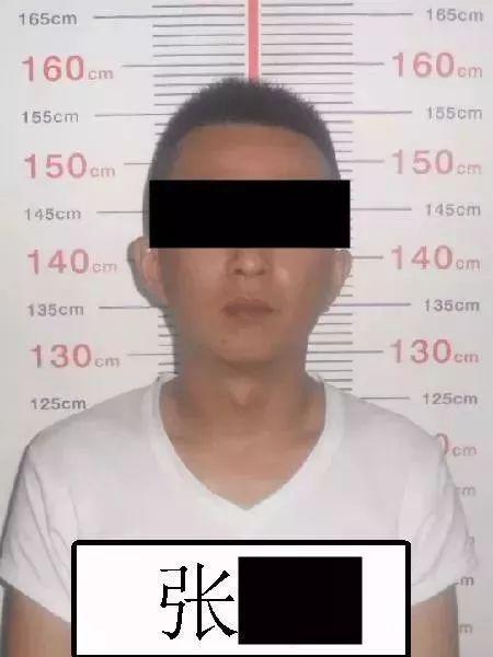 浙江体彩历史开奖号码查询，探寻幸运的轨迹