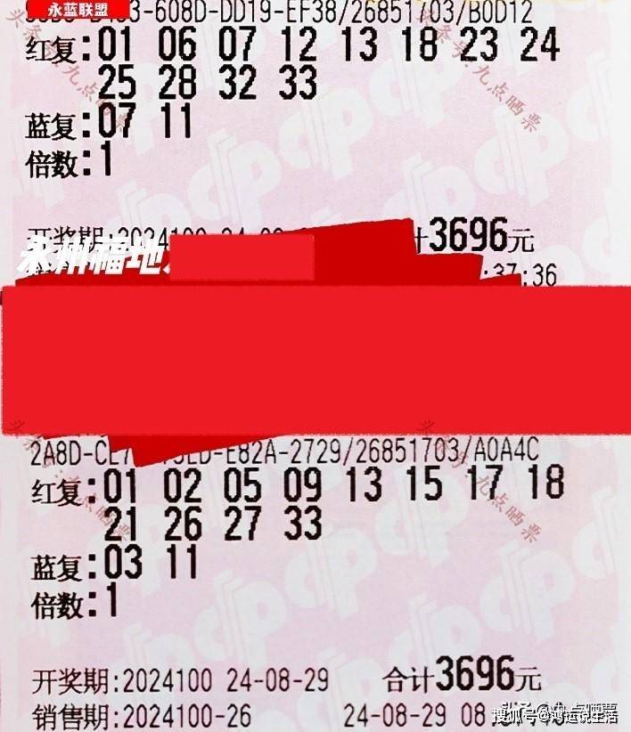 管家婆期中四肖与特管家的奥秘，揭秘彩票背后的智慧管家婆期期四肖四码中特管家一金木