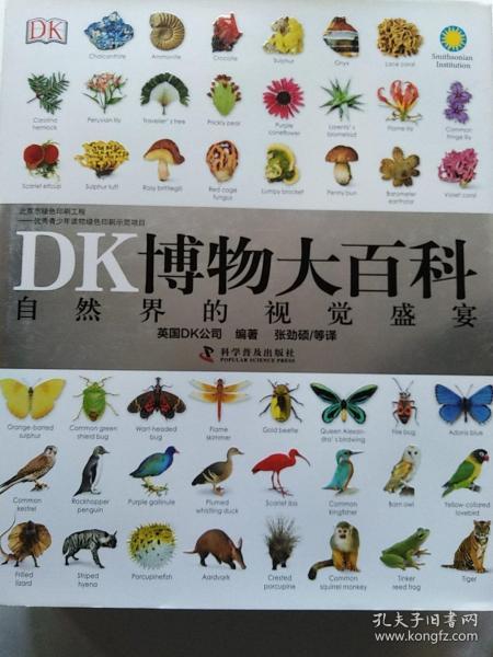 3D字画谜全图总汇，解锁视觉与智力的双重盛宴