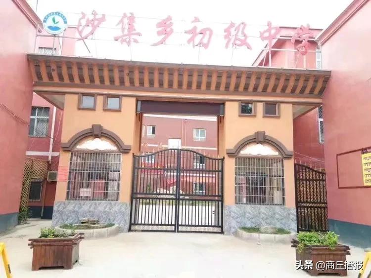探索体育激情，CCTV5高清体育频道的魅力与影响