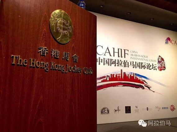 澳门马会传真与马会论坛，探索赛马文化的深度与广度