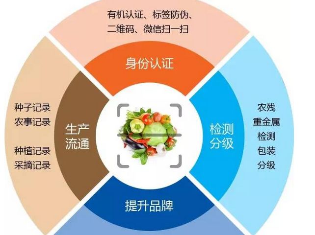 探索一品一码的奥秘，食品安全的新防线