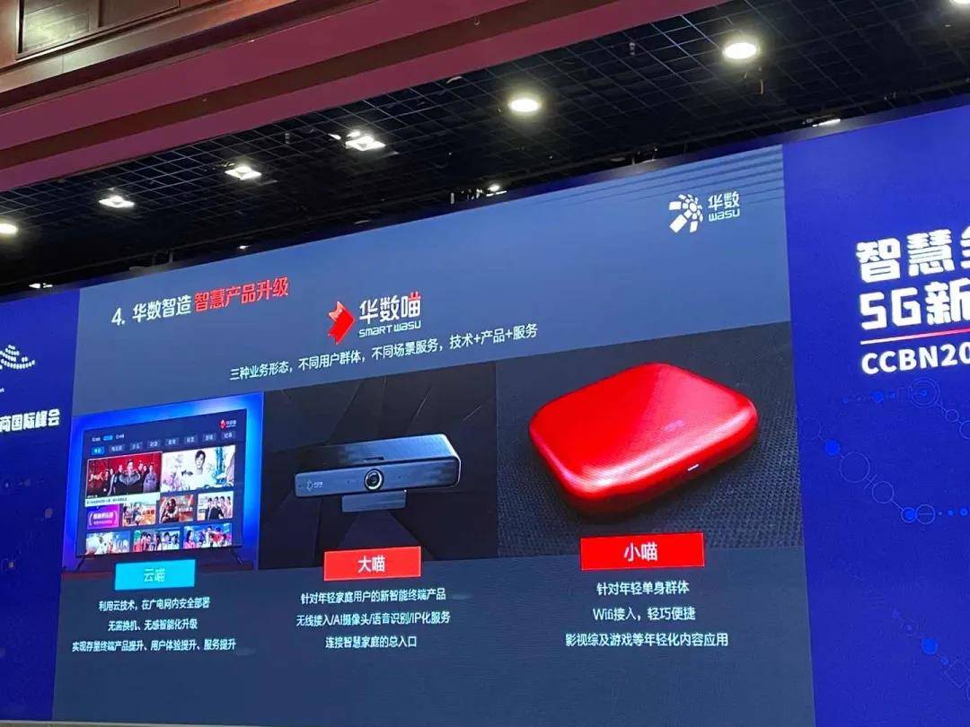 七星彩23095，数字背后的幸运与智慧