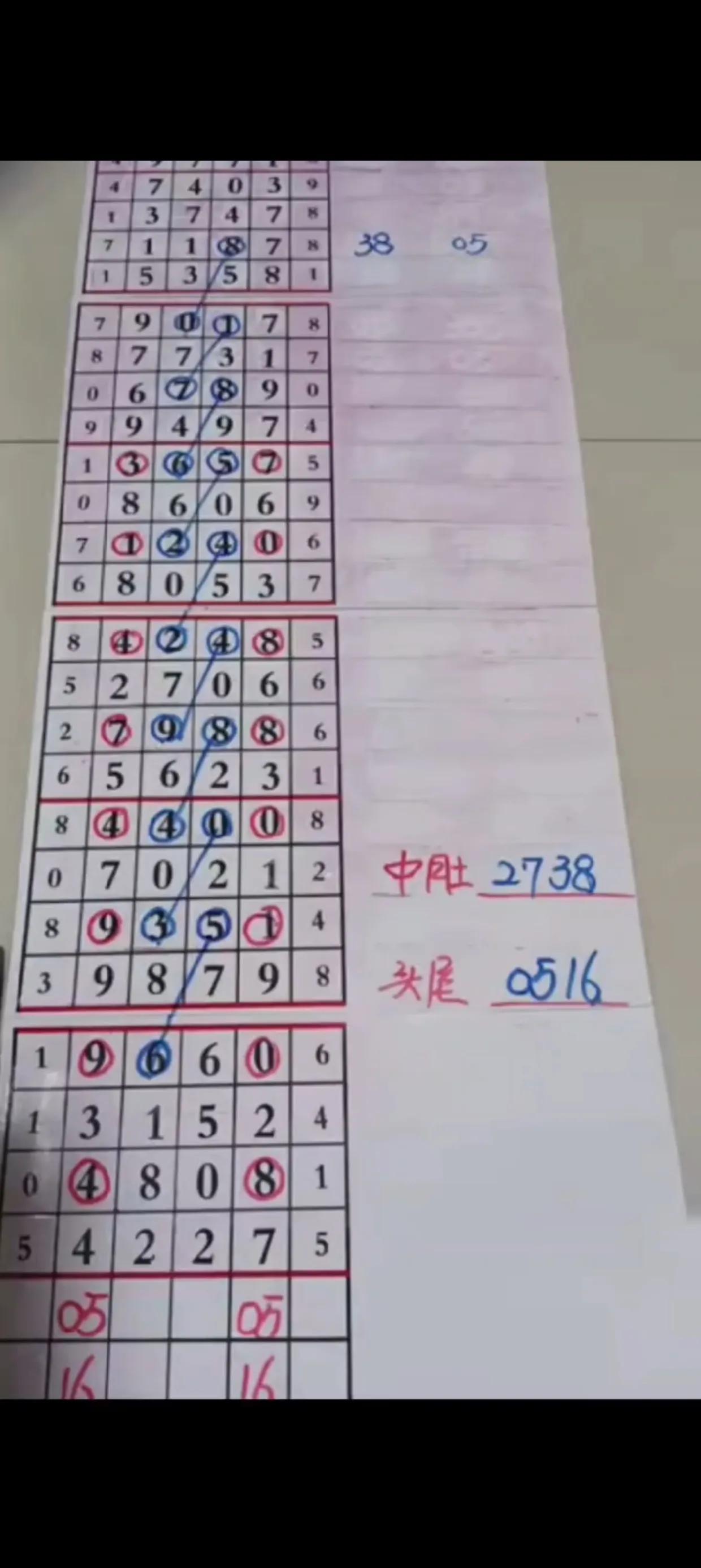 排列五第五位走势图，解码数字背后的奥秘