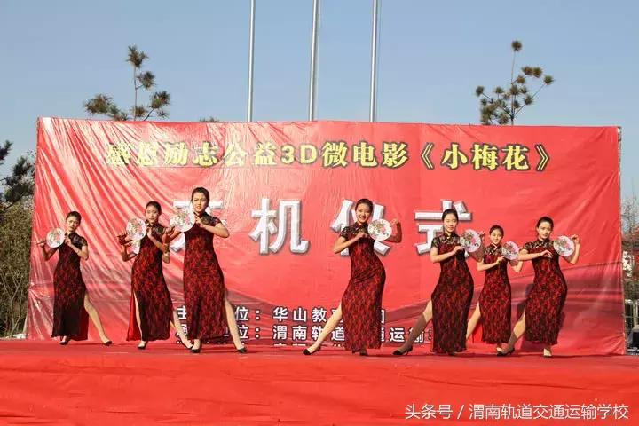 中国3D福利彩票，探索数字背后的公益与梦想