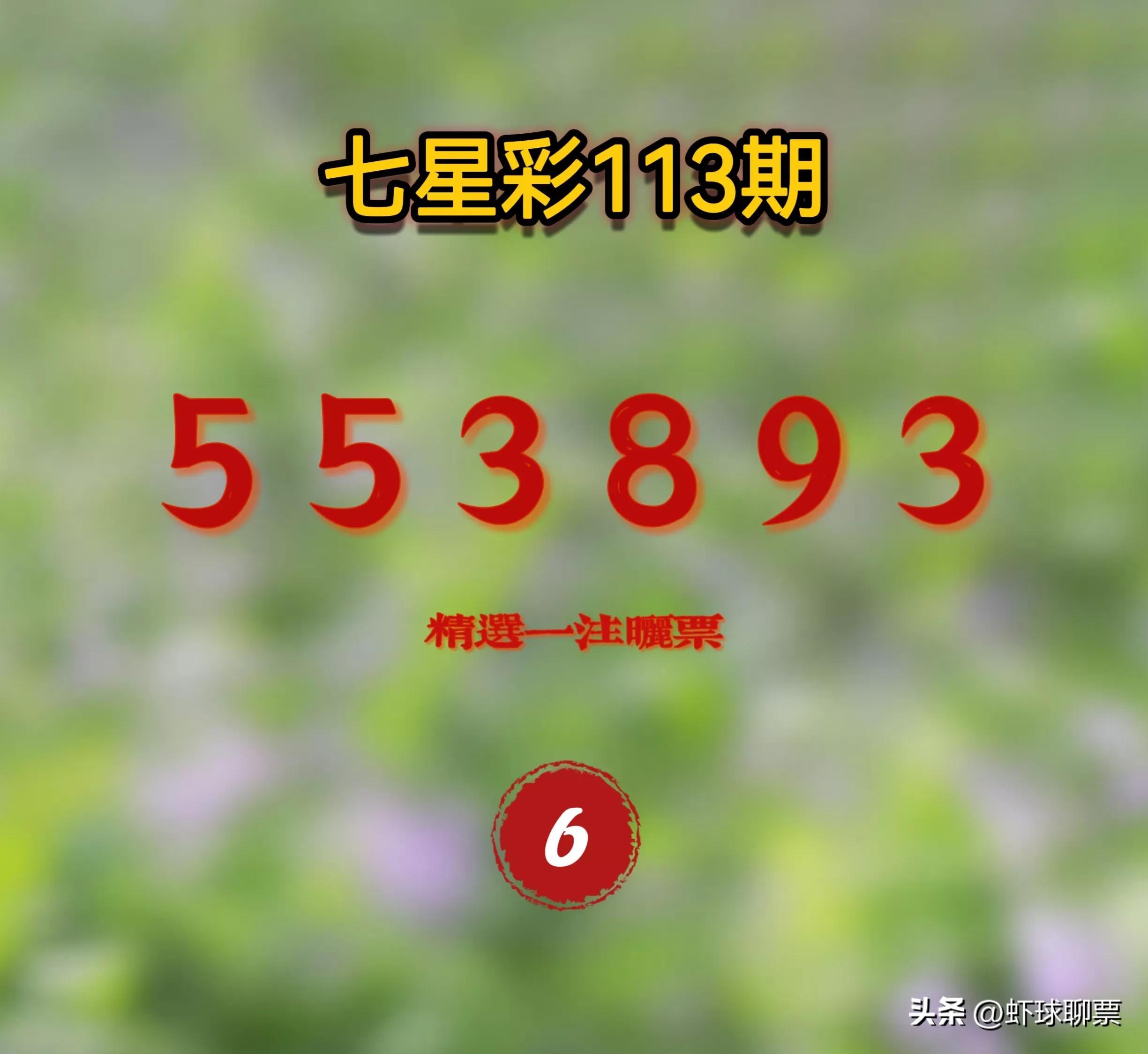 揭秘中国七星彩票查询，从玩法到技巧的全面解析