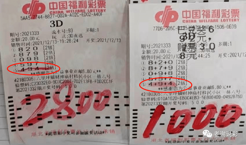 试机号3D，今天开机号精准查询的奥秘与技巧