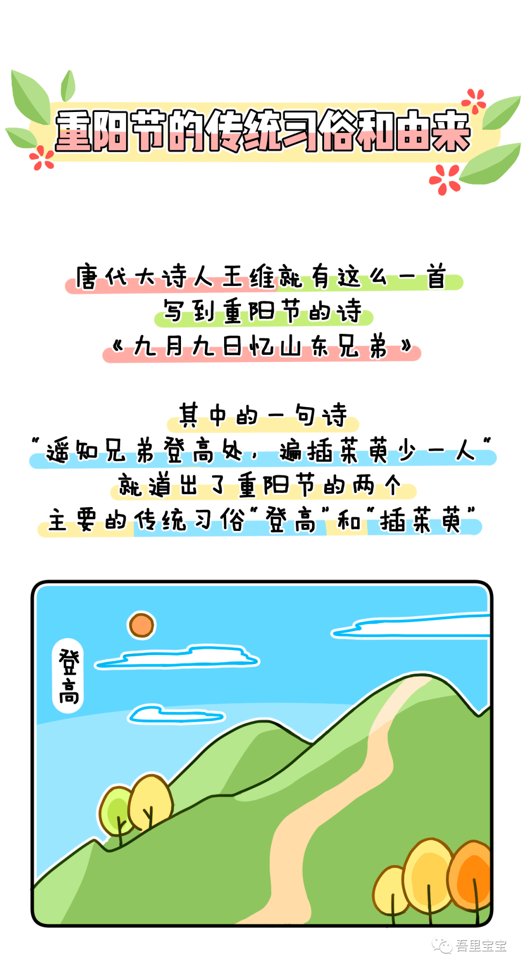 布衣图电子报，连接传统与现代的桥梁