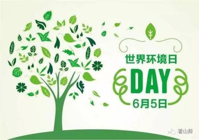 小学生校园新风尚，环保小卫士的绿色行动