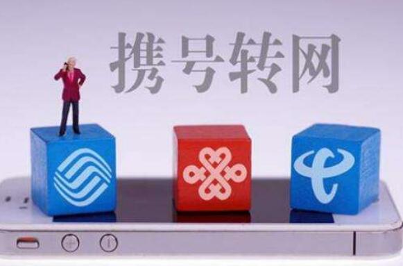 挑号网官网在深圳的崛起与影响