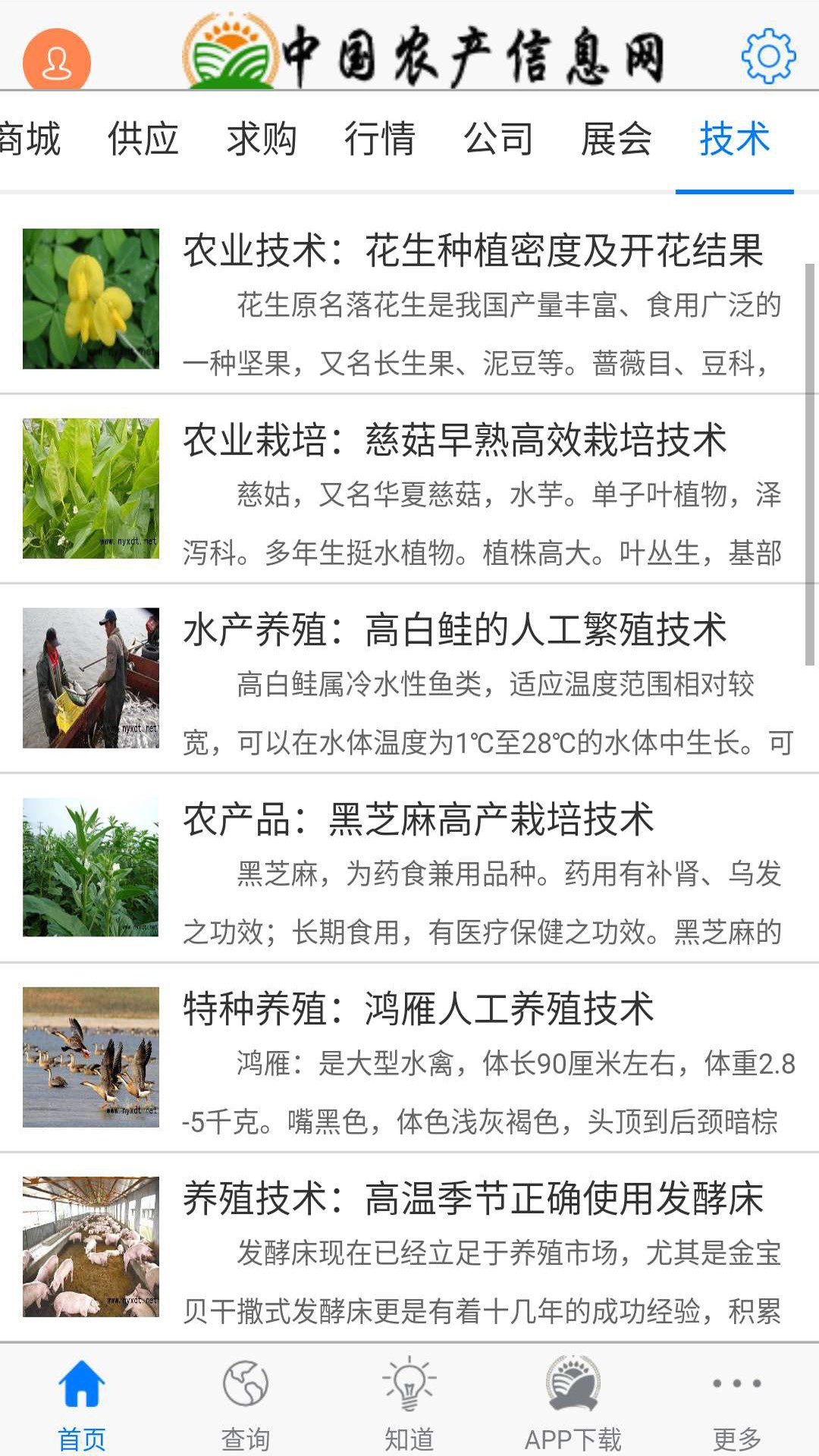 探秘华彩网大红门,传统与现代的完美融合华彩彩票网真品大红门3d预测