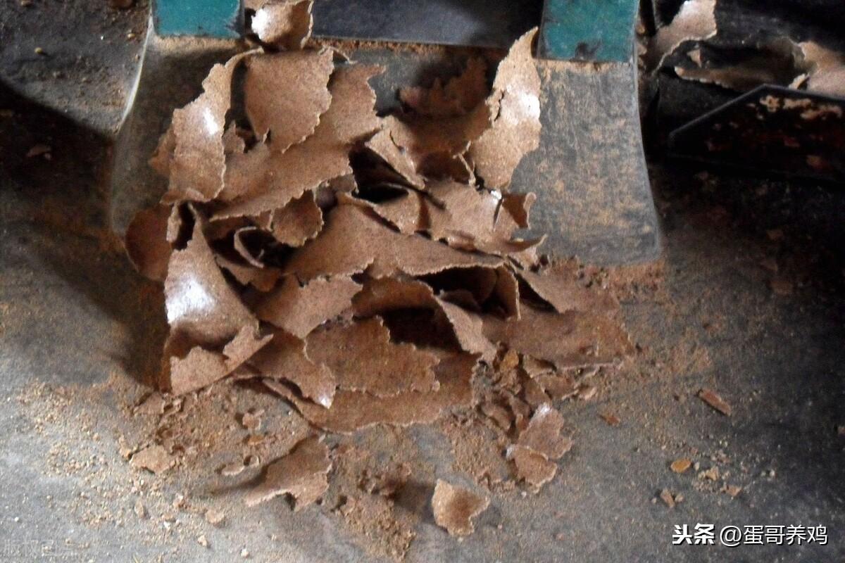 探索中国花生信息网，揭秘花生粕最新价格动态