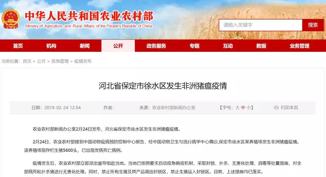 探索中国鸡蛋产业新视界，中国鸡蛋信息网与禽病网的作用与影响
