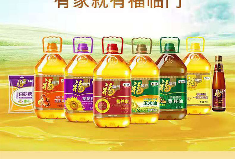 探索中国食用油市场，聚焦中国食用油信息网上的豆油行情分析