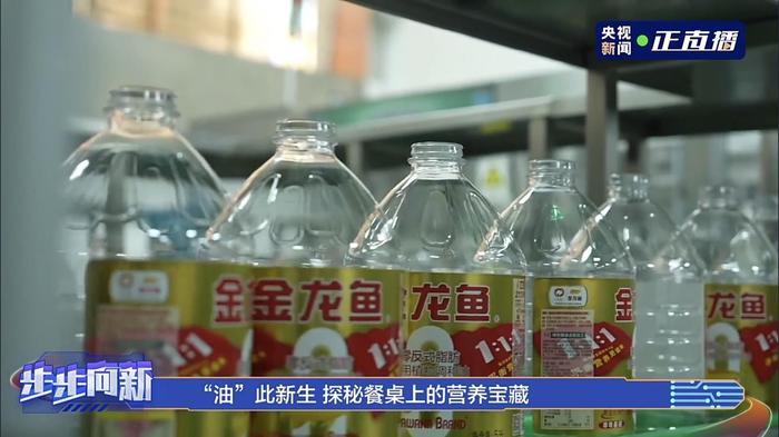 探索中国食用油市场的透明之窗，中国食用油信息网