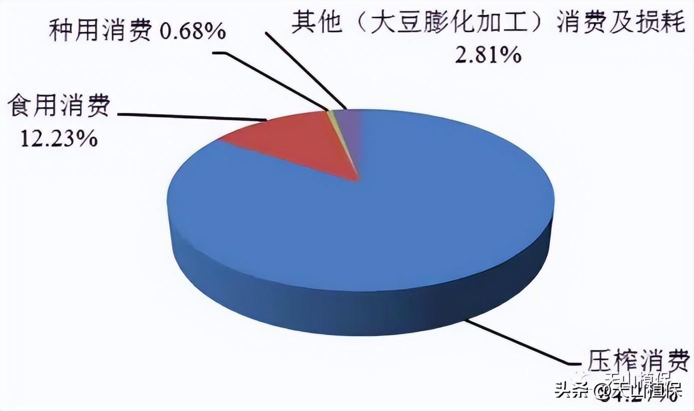 中国饲料行业信息网，洞察大豆价格波动与行业趋势