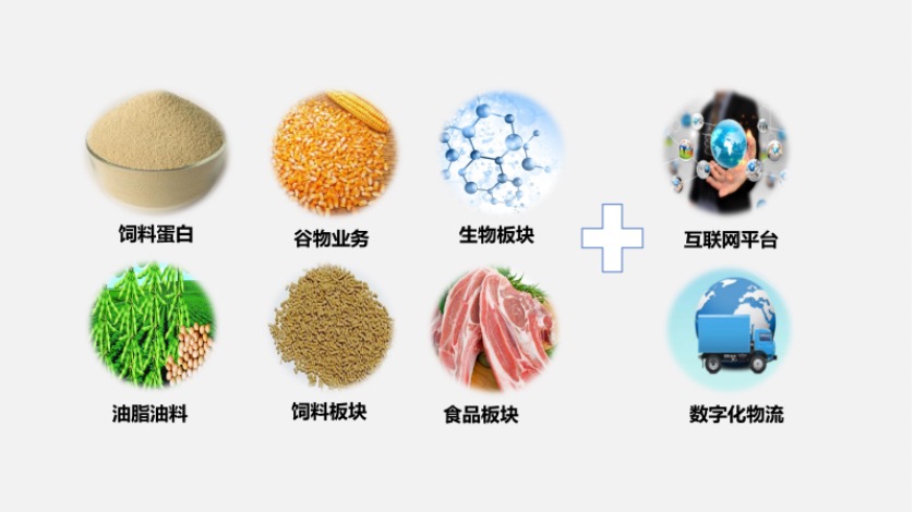 探索中国饲料原料行业信息网，豆粕手机应用的创新与影响