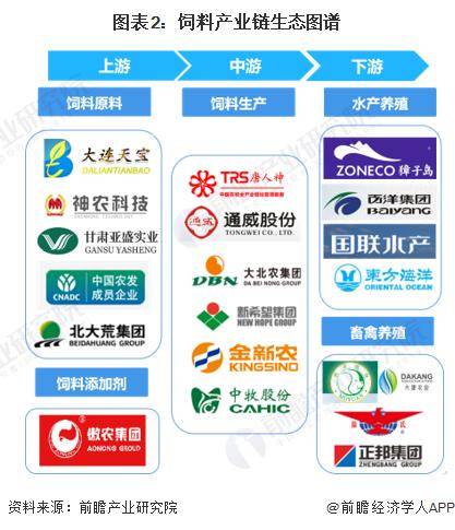 探索中国饲料行业信息网在上海的崛起与影响