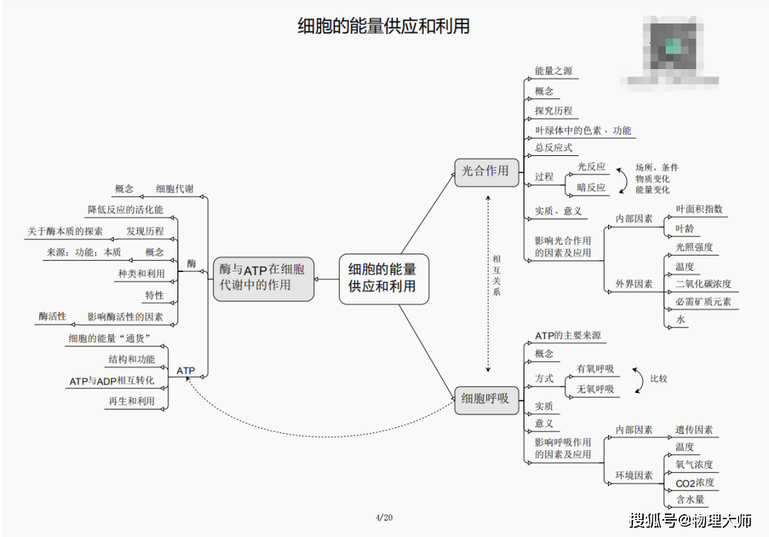 从心理学角度看管家婆三期必出一期MBA
