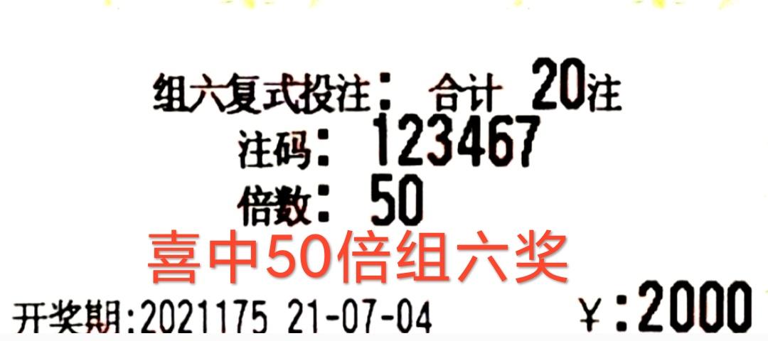 2019六开彩，一场透明公正的公益盛宴—现场直播与真实结果揭秘2019六开彩开奖现场直播 开奖结果今天