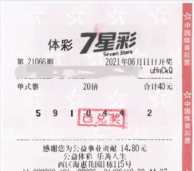 特区论坛与七星彩，探索数字彩票的魅力世界—开奖直播揭秘之旅特区七星彩论坛下载