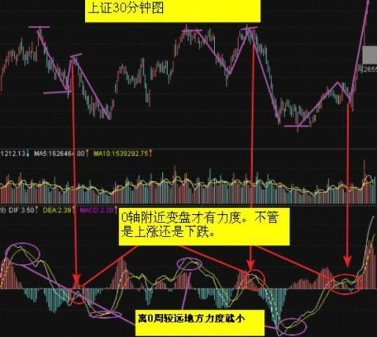 特马资料最准2024开奖前一天0期