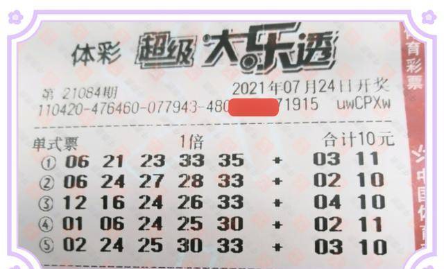 2046新澳门天天开好彩大全正版，揭秘彩票背后的真相与理性态度2024新澳门天天开好彩大全正版羽绒服冼后怎样才能恢复
