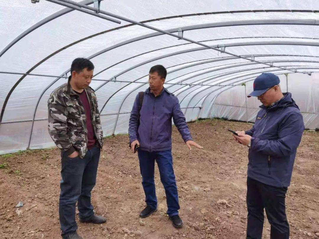 免费下载204年新澳资料大全，正版资源助力学习与工作2025年正版资料免费大全