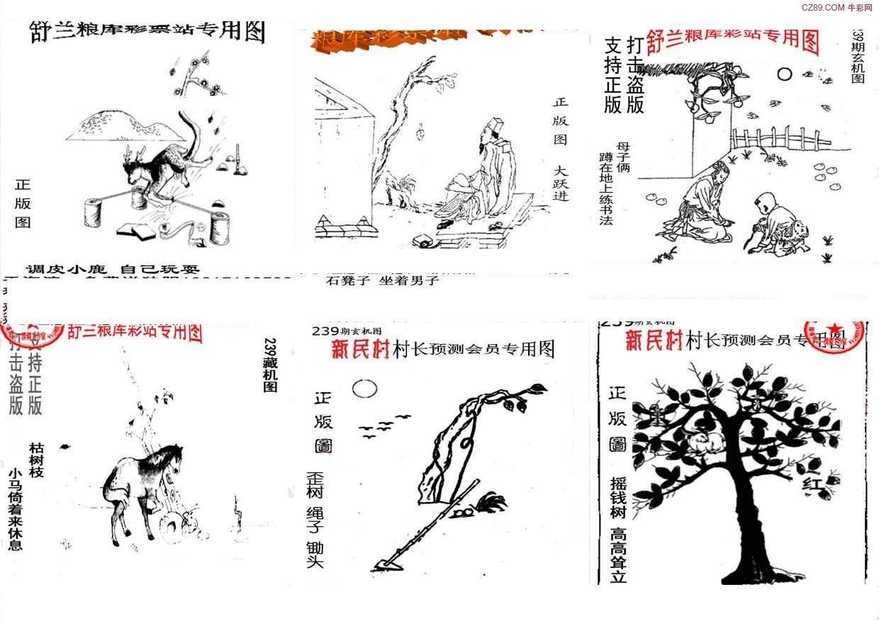 探索天牛3D图库，解锁创意与技术的完美融合天牛3d图库红五图