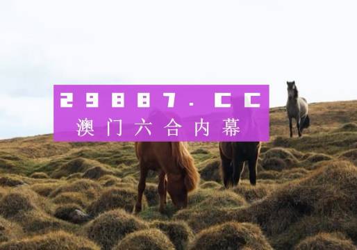 2014澳门今期开奖结果查询，揭秘与解析2o24澳门今期开奖结果查询历史
