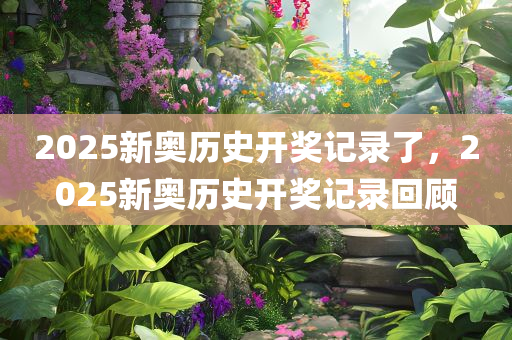 2046，新奥历史开奖记录的辉煌与展望2024新奥历史开奖记录46期天天跑酷
