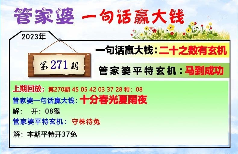 管家婆一码中奖，揭秘背后的真相与理性思考管家婆一马中特马