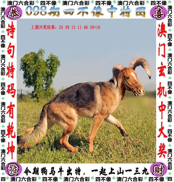 今期四不像图，传统与现代交融的神秘符号今期四不像图今晚第141期图