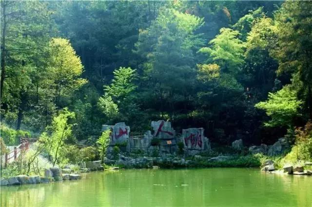 蓝月亮，照亮免费资料之年的璀璨光芒—2019年全年回顾与展望（虚构文章）蓝月亮天下彩免费资枓大全年2019一134期514888